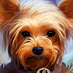 yorkie wallpaper