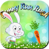 Bunny Run Rush icon