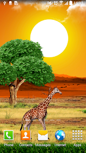 Safari Live Wallpaper