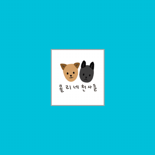 콜리네천사들 - Google Play 앱