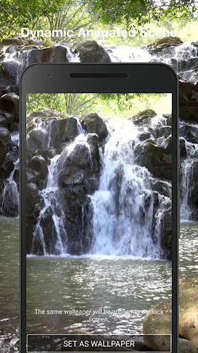 Jungle Live Wallpaper Pro Screen 2