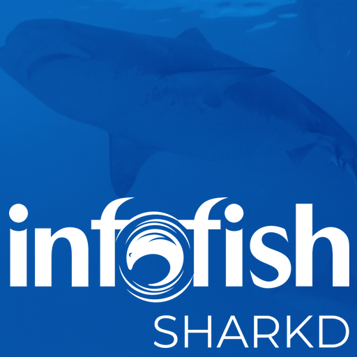 Infofish Sharkd logo