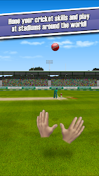 New Star Cricket