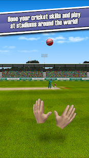 New Star Cricket 1.21 APK screenshots 4