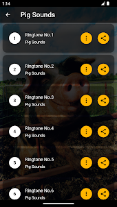 Pig Sounds & Ringtones