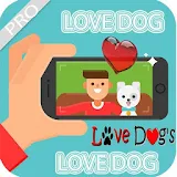 Love Dog-Best friend App Pro icon