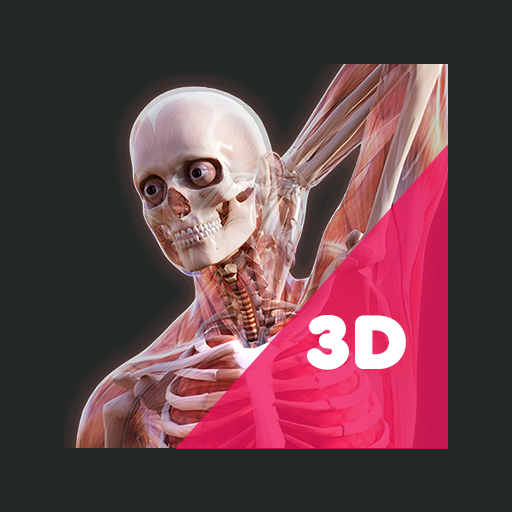 3D Human Anatomy Learning App logo