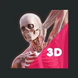 Irusu 3D Human Anatomy icon