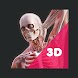 3D 人体解剖学学習アプリ