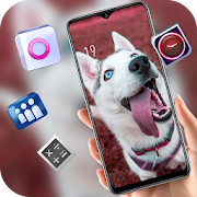 Top 46 Art & Design Apps Like Dog animal theme for Mi play Playful tongue husky - Best Alternatives