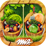 Cover Image of Download Find the Difference - Gardens  APK