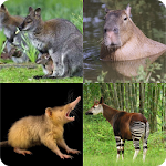 Cover Image of ดาวน์โหลด Угадай экзотическое животное 7.1.3z APK