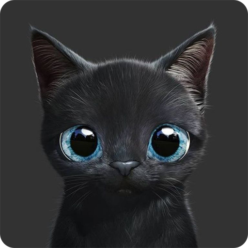 Kitten Wallpapers HD - Ứng dụng trên Google Play
