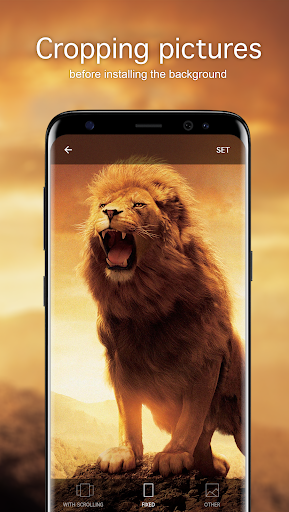 Screenshot of Lion Wallpapers 4K