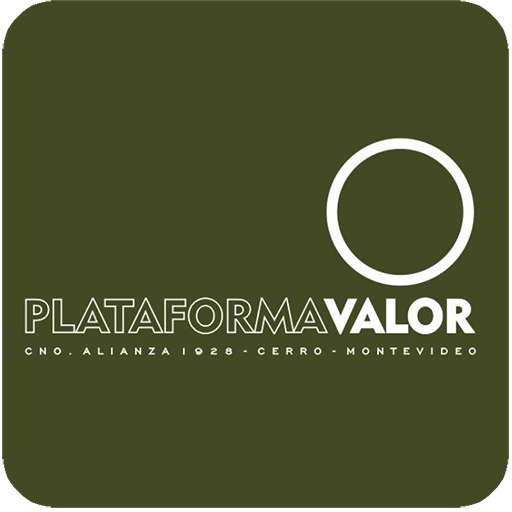 PlataformaValor logo