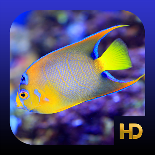 Peaceful Aquarium HD 4.6 Icon
