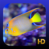 Peaceful Aquarium HD icon