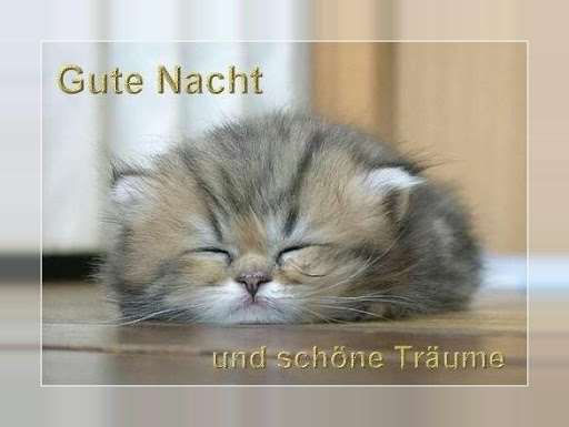 Gute Nacht Bilder für Whatsapp Screen 2