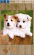screenshot of Dogs Jigsaw Puzzles