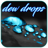 Dew Drops Water icon