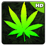 Weed Live wallpaper icon