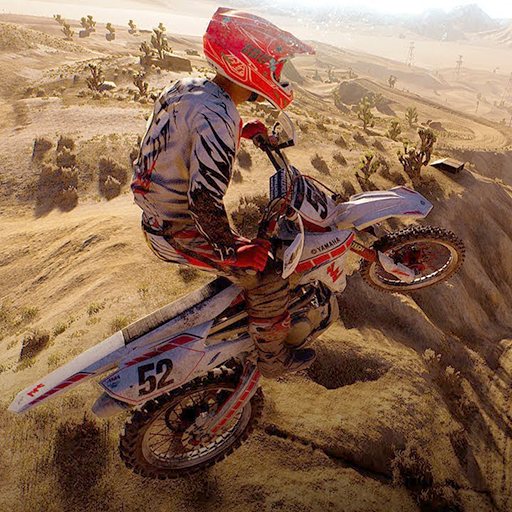 Dirt Bike Freestyle Motocross