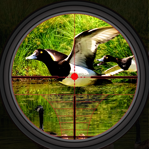 Duck Hunting Wild Shooting