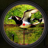 Duck Hunting 2019 - Real Wild Adventure Shooting icon