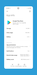 Play Store Update Services
