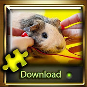 guinea pig jigsaw puzzle game for Adults