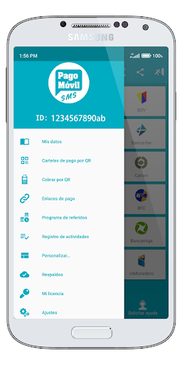 Pago Móvil SMS Screen 2