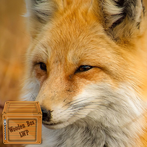 Fond D Ecran Animal Renard Applications Sur Google Play