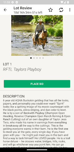 EquineAuction Screen 3
