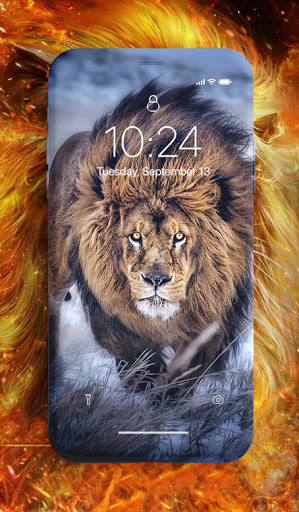 Download Lion Wallpaper Free for Android - Lion Wallpaper APK Download -  