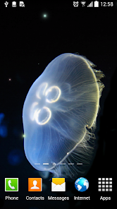 Jellyfish Live Wallpaper - Apps on Google Play