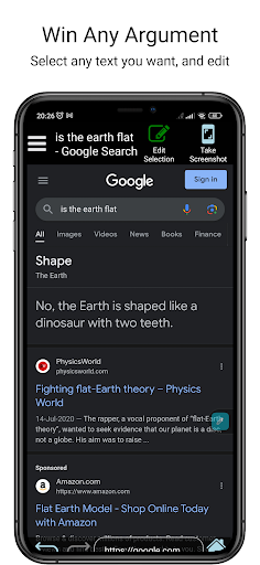 Egoistic Front Fake Web Search Screen 3