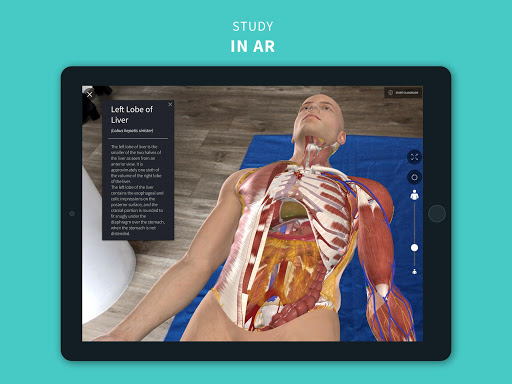 Complete Anatomy u201821 - 3D Human Body Atlas 6.4.0 Screenshots 13