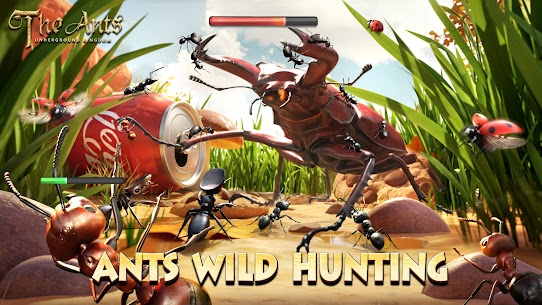 The Ants: Underground Kingdom 4
