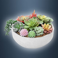 Idle Plant Pot 3D Succulent Terrarium Garden Idle