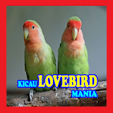 Kicau Loverbird icon
