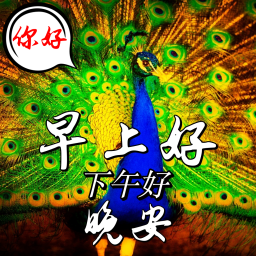 Chinese Good Morning to Night logo