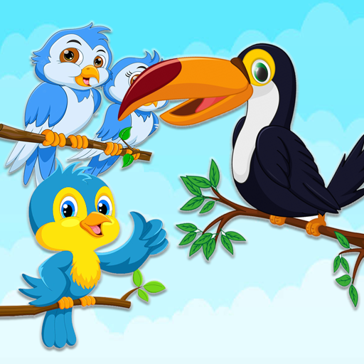 Bird Color Sort - 3D Game Download on Windows