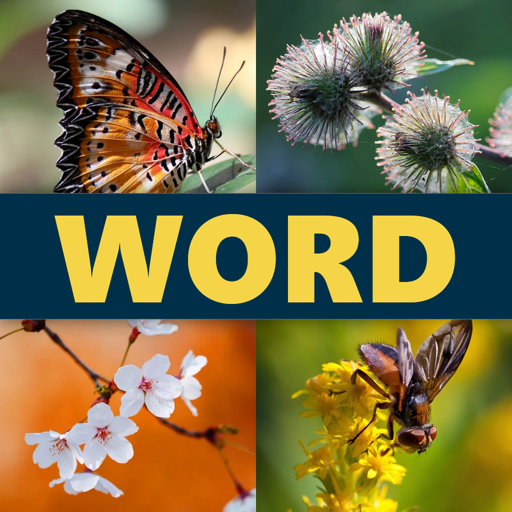Word 4 Pics Windowsでダウンロード
