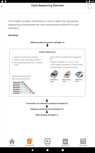 Sanger sequencing Screen 3