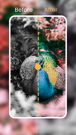 Colorize images, Restore color for image