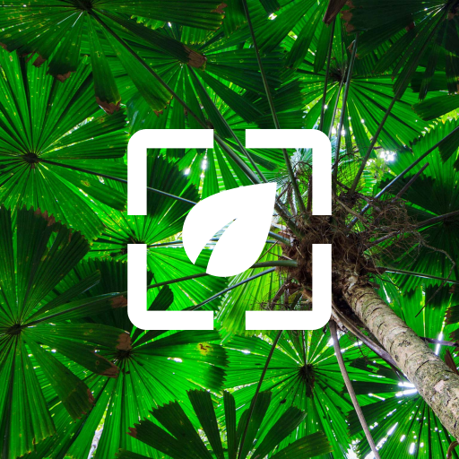 Nature Wallpaper HD logo