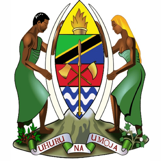 Digital Tanzania Dashboard logo