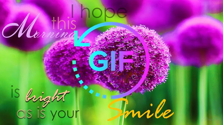 Good Morning Night Gif Wishes - 2.12.1 - (Android)