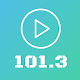 Radio FM 101.3 stations online player free Download on Windows
