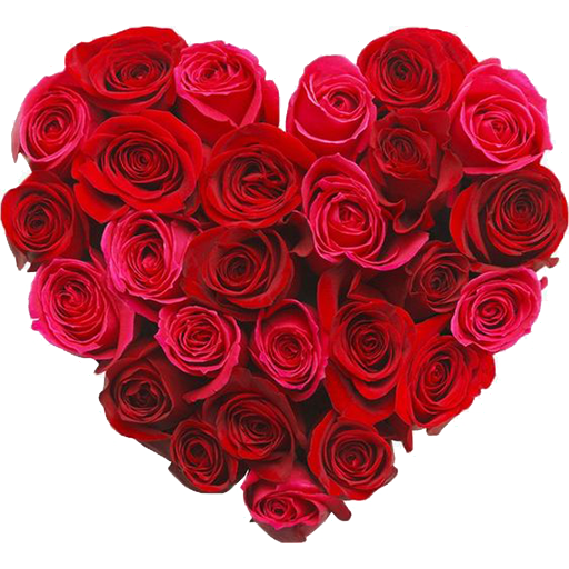 New Wastickerapps Flowers Roses Stickers 2020 Apps On Google Play
